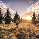 Tatil Evi U Ticheho Lesa